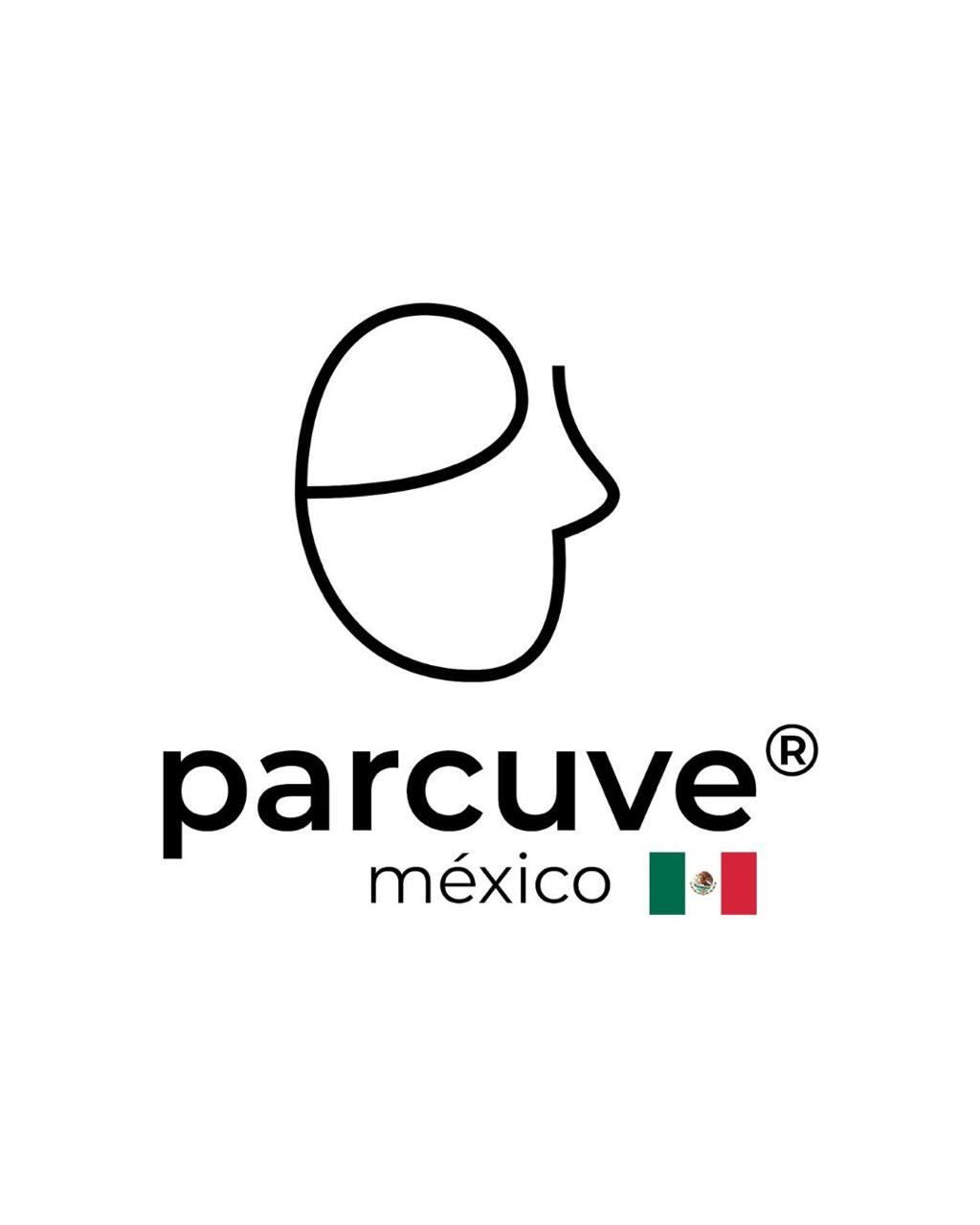 Academia PARCUVE México